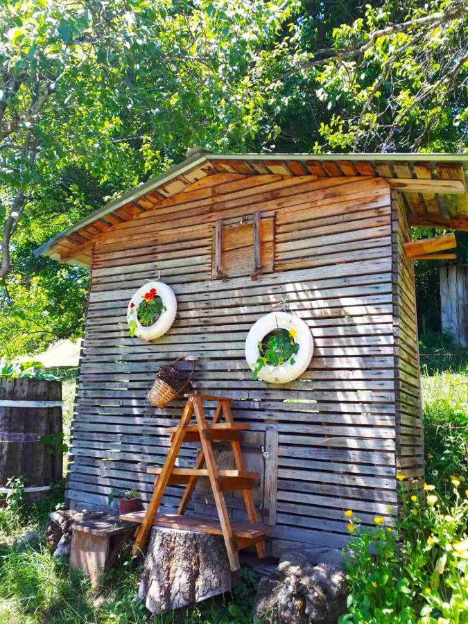 Household Babovic - Old House Miljan'S Valley Andrijevica Exterior foto