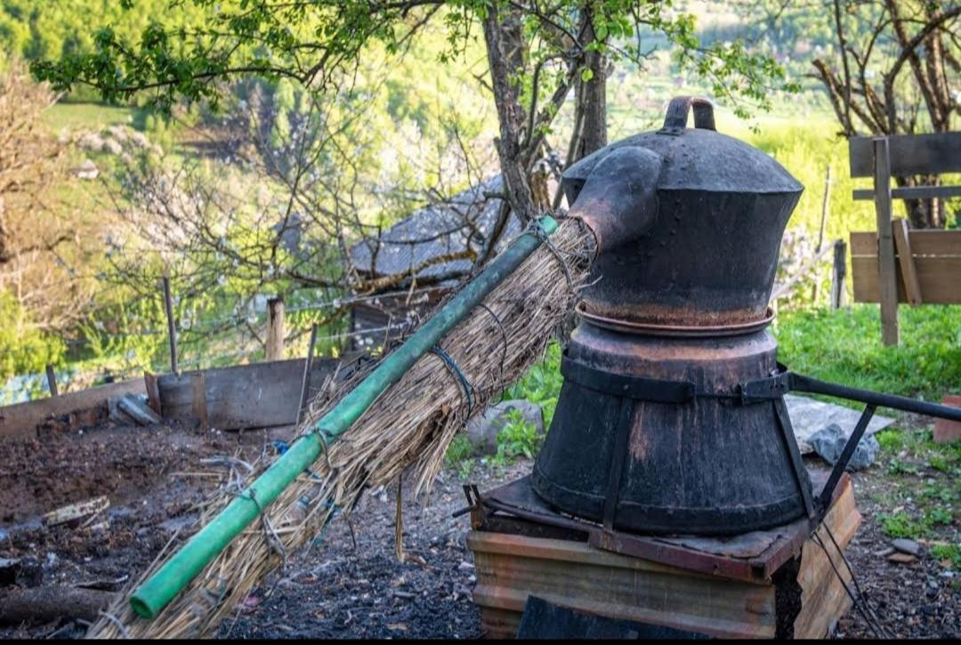 Household Babovic - Old House Miljan'S Valley Andrijevica Exterior foto
