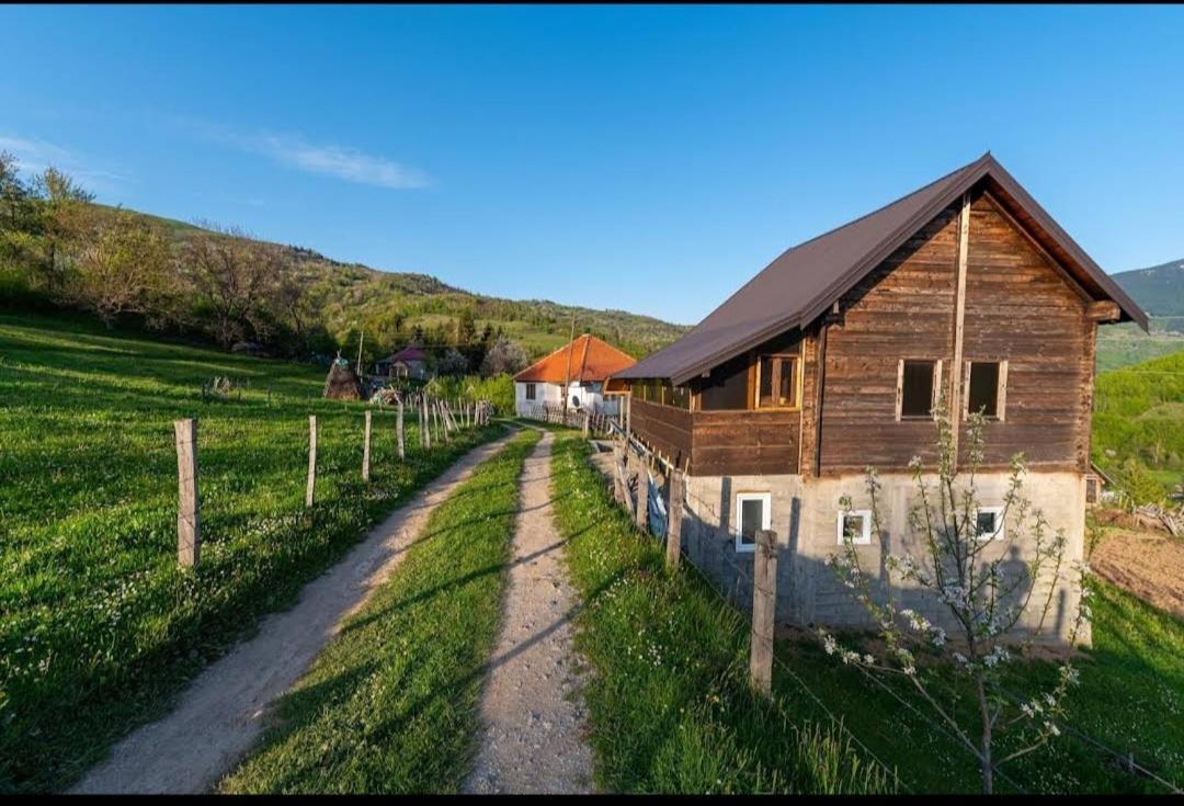 Household Babovic - Old House Miljan'S Valley Andrijevica Exterior foto